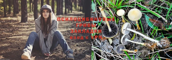 а пвп мука Володарск