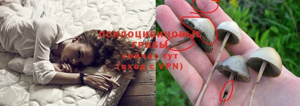 синтетический гашиш Верея